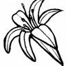 KaoruF