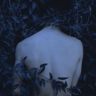 agaricfaerie