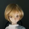 ledniir