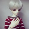 Obily