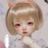 angeldolly