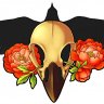 RavenSkullsBJD