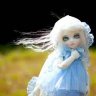 dollipuki