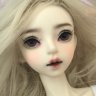 moki:3_2005
