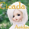 Cicada