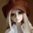 dollfie63