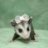 possummom