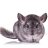 Unfriendly Rodent