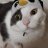 nekomode13