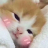 Ephemeral_Dream