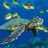 tortuedesmers
