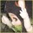 chanth