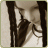 Moachan