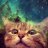 luna_neko