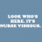Vishous