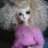 dollhoarder1