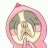 Bapupupupu