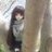 angelkittie