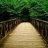 BuildingBridges