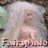 fairyhalo