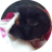 Mabari