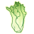 CarolettuceBJD