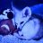 bluefoxy