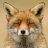 LaughingFox12
