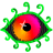 Oculae