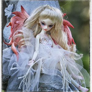 dollzone arwen