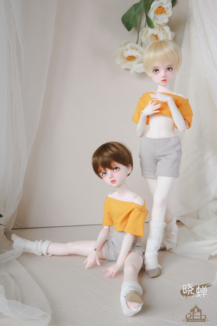 doll family h bjd