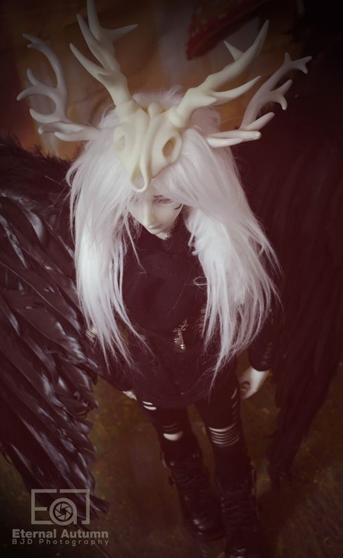 [​IMG]