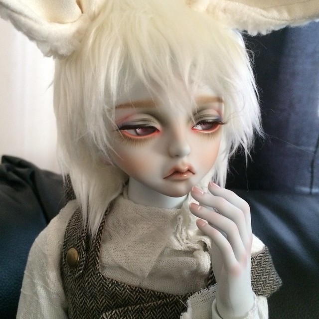 [​IMG]