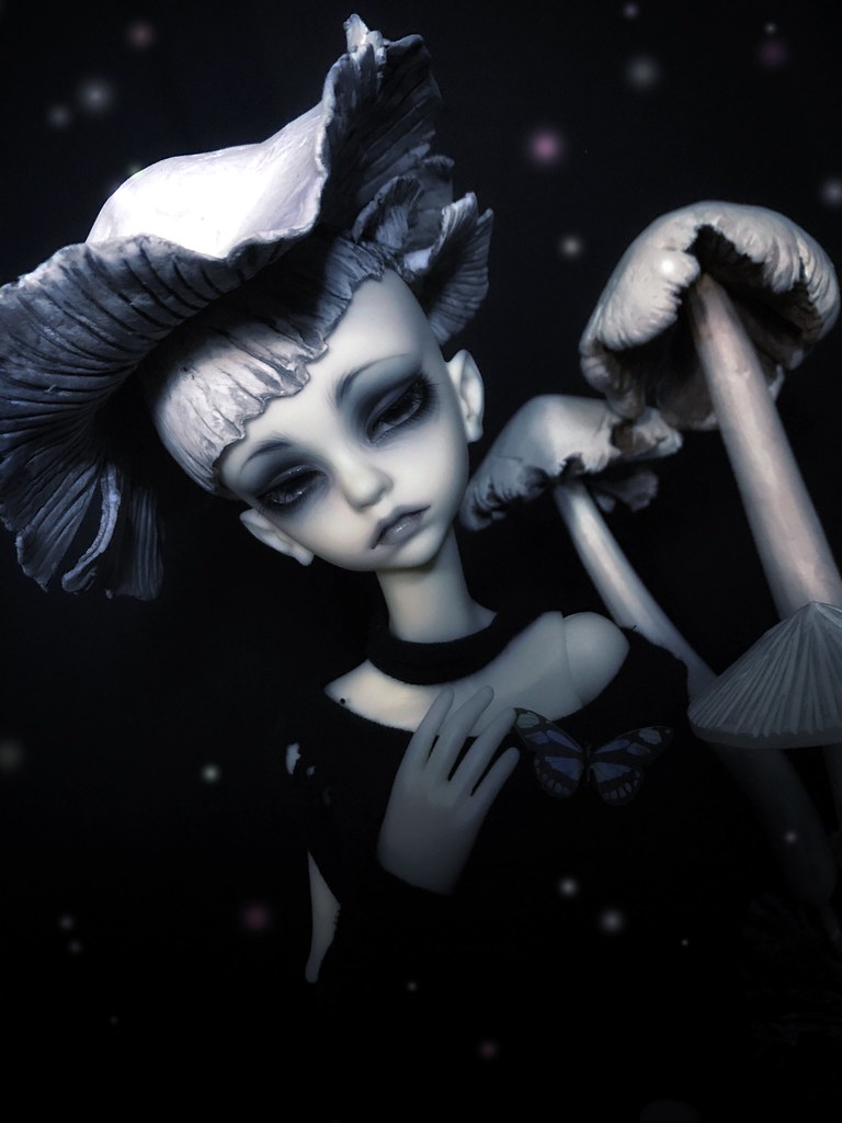 [​IMG]