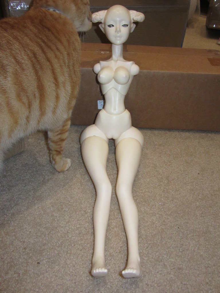 [​IMG]