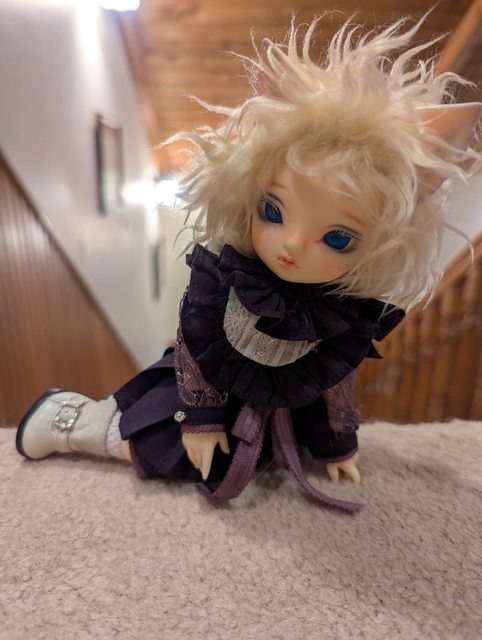 [​IMG]
