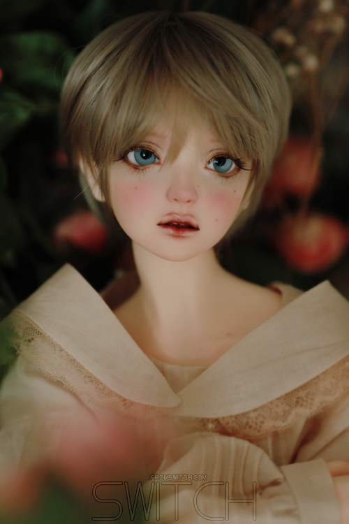 [​IMG]