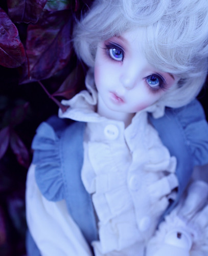 [​IMG]