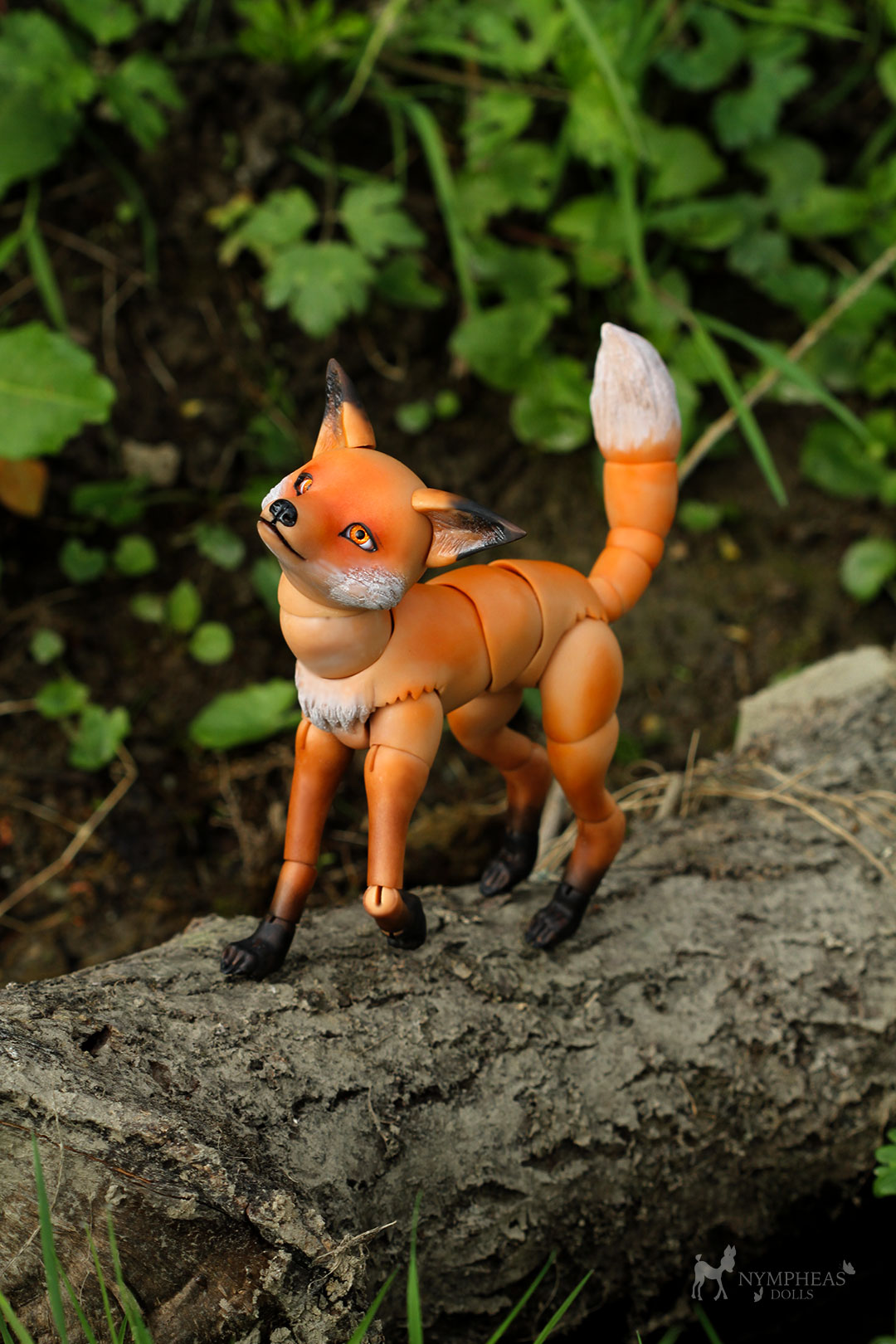 [​IMG]