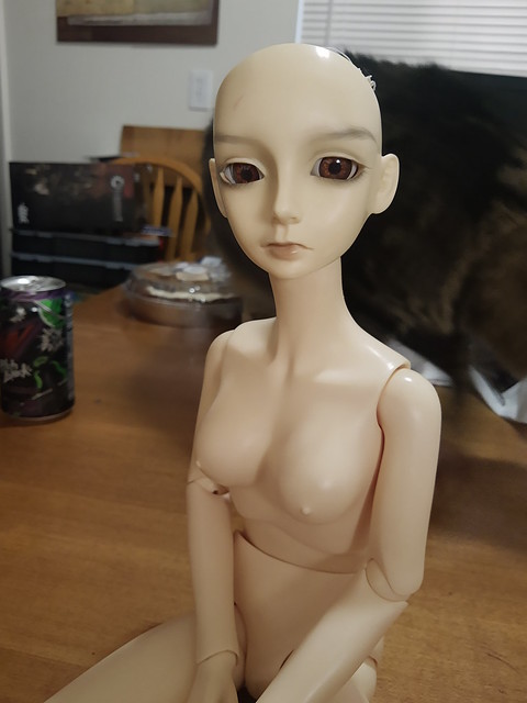 [​IMG]
