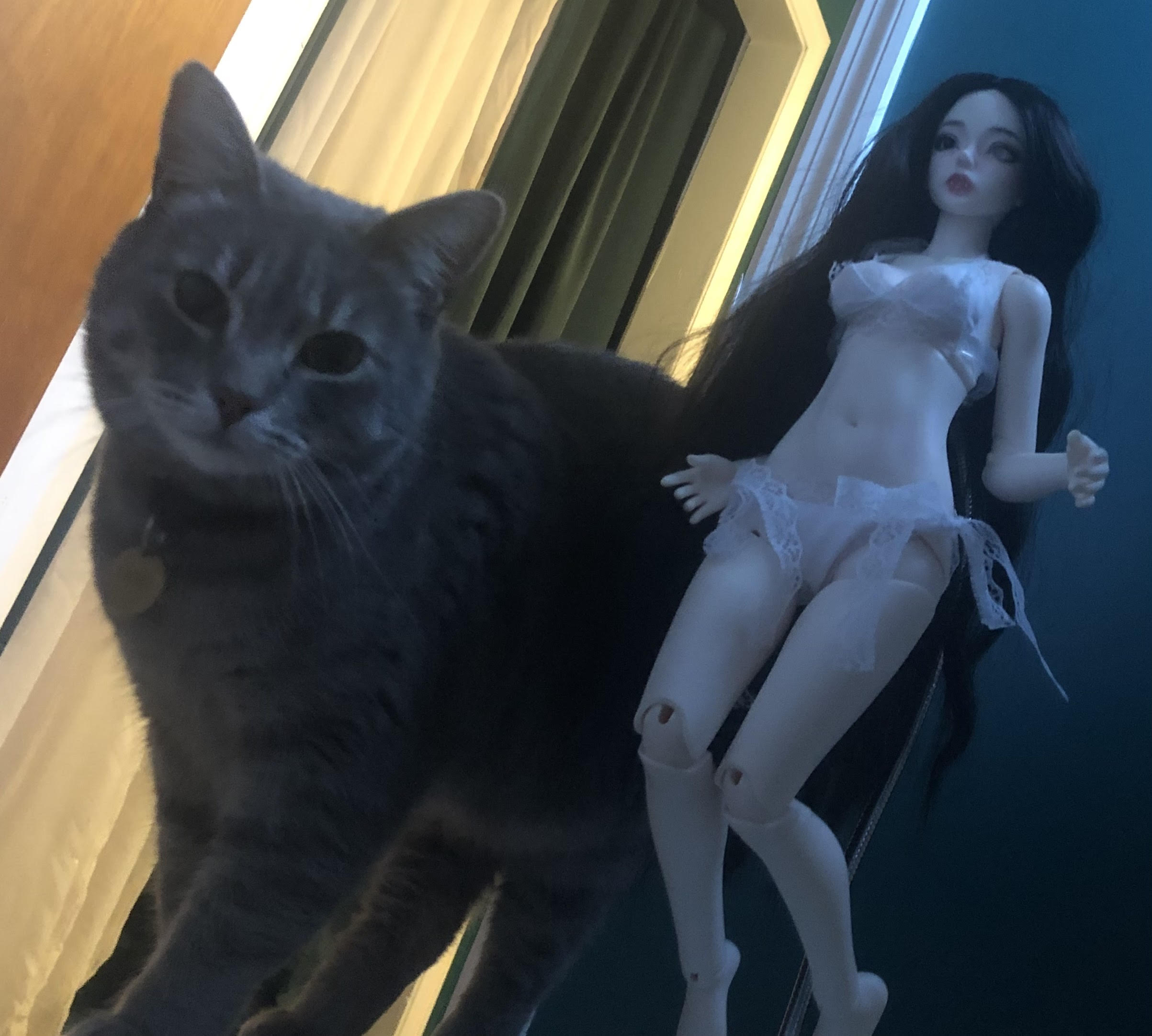 [​IMG]