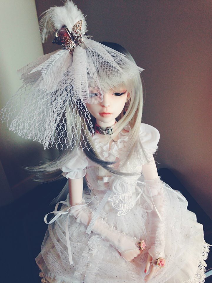 [​IMG]