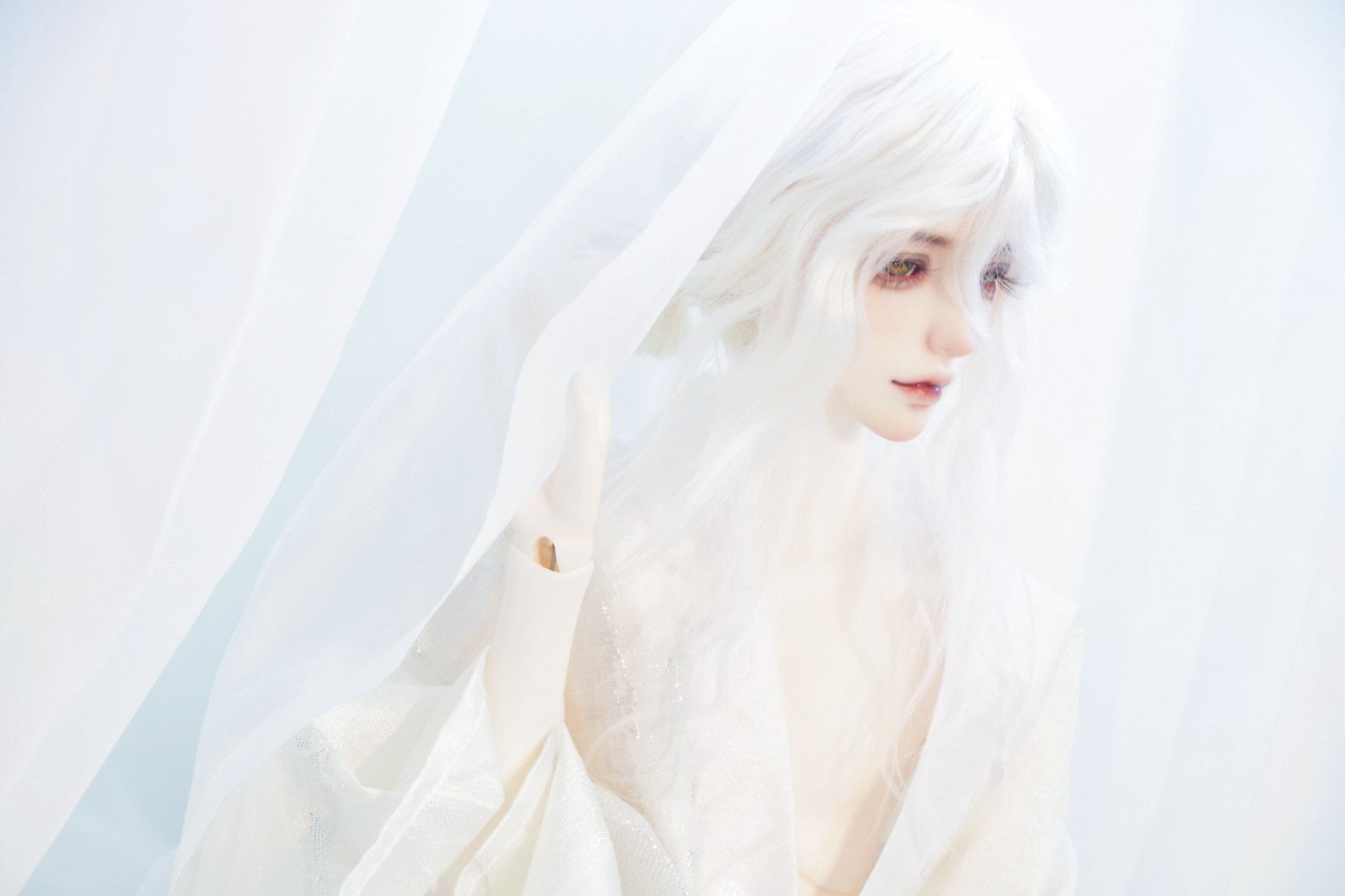 [​IMG]