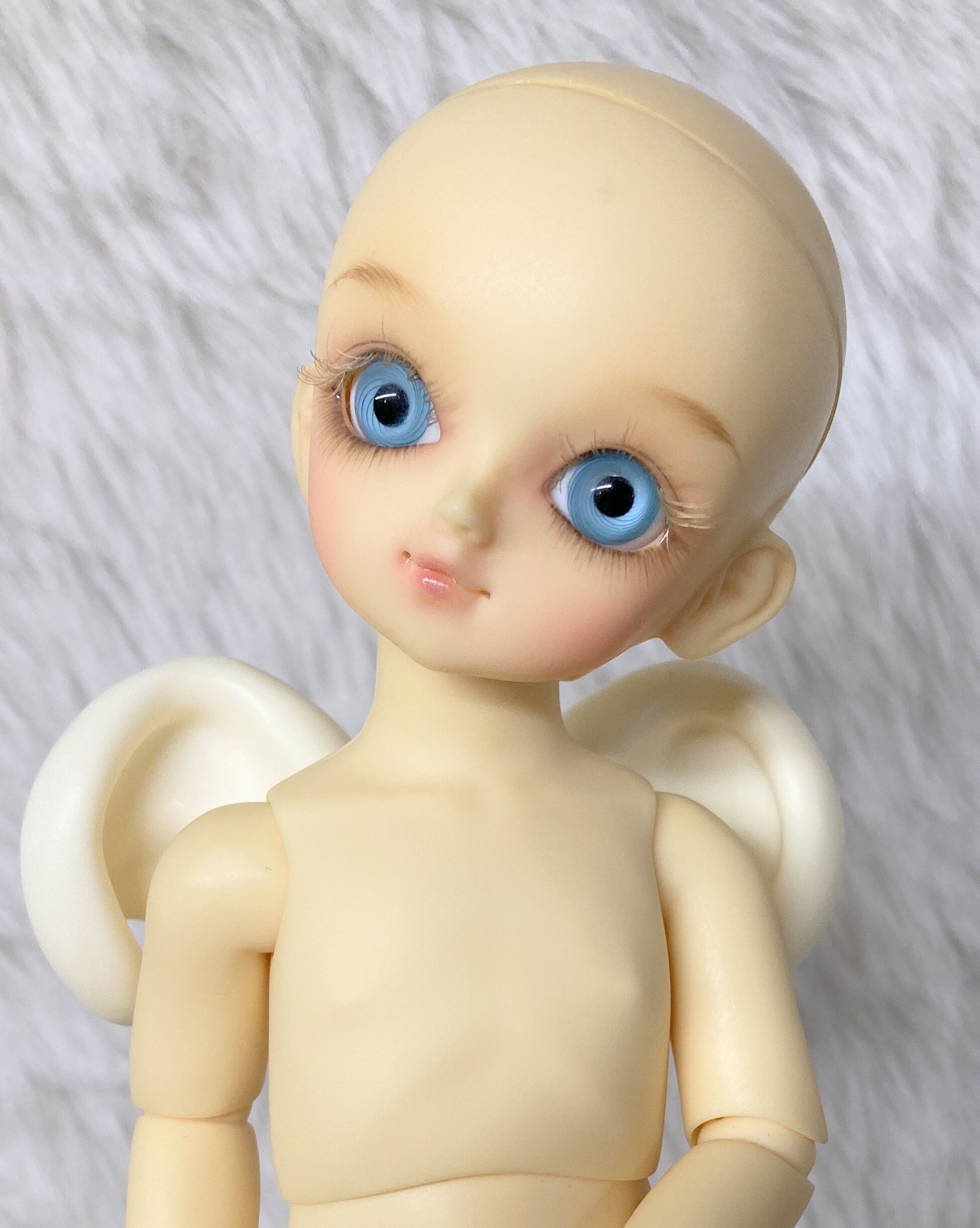 [​IMG]