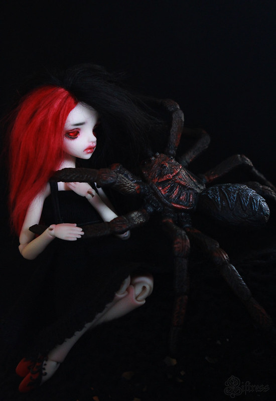 [​IMG]