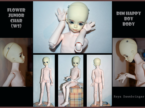 [​IMG]