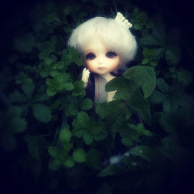 [​IMG]