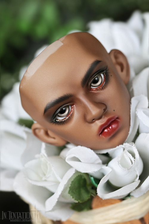 [​IMG]