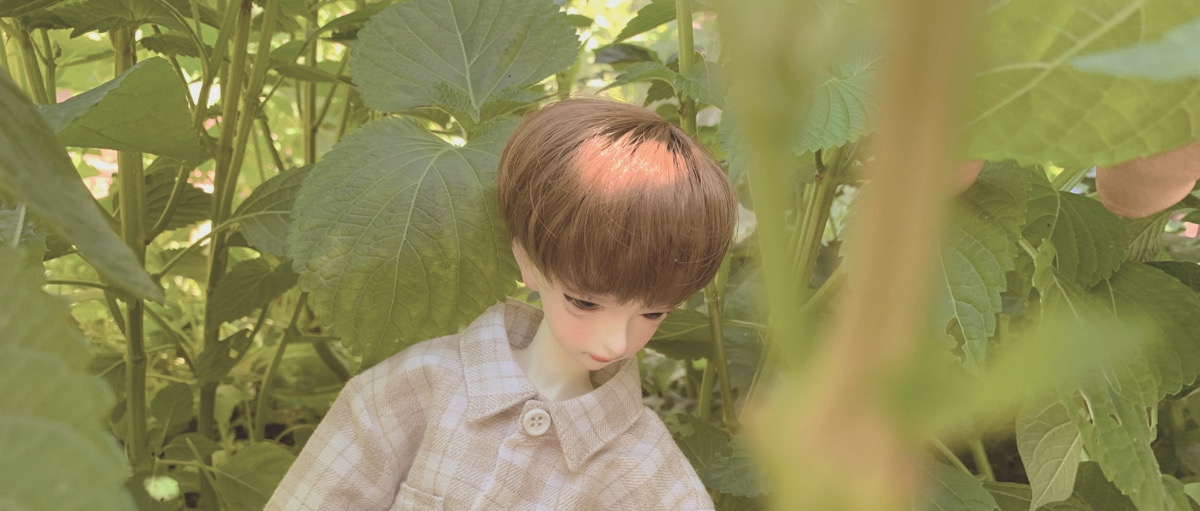 [​IMG]
