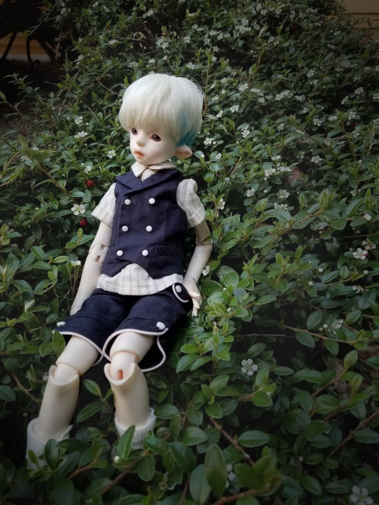 [​IMG]